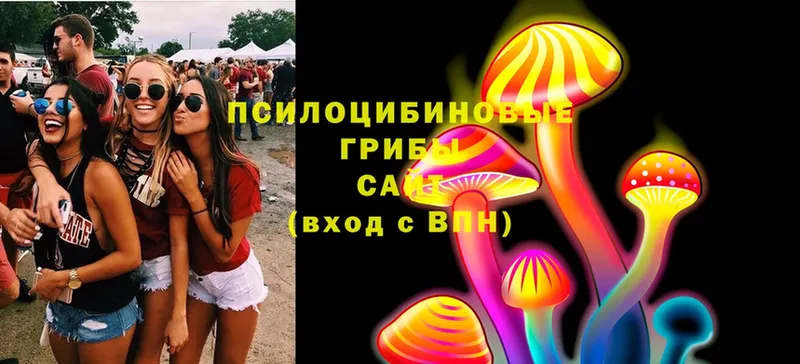 Галлюциногенные грибы Psilocybine cubensis  Заринск 